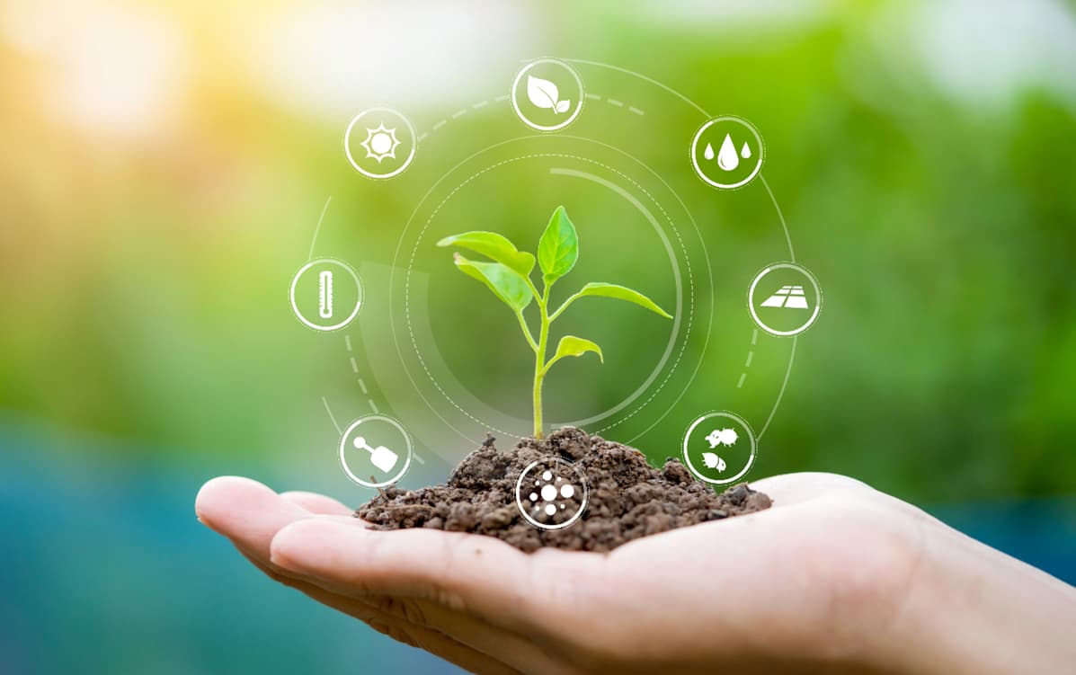 How Neem-Based Farming Supports Climate-Resilient Agriculture