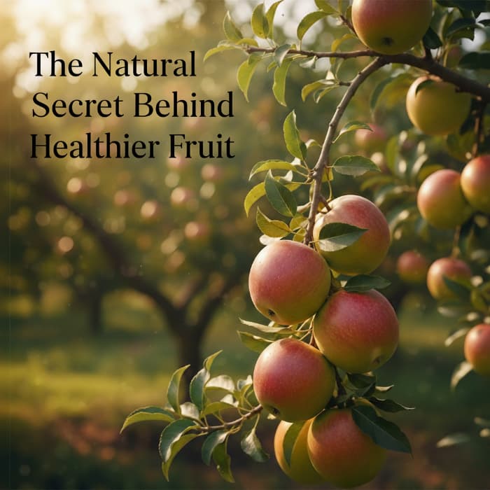 Using Neem for Pest Control in Fruit Orchards: A Sustainable Approach to Healthier Harvests